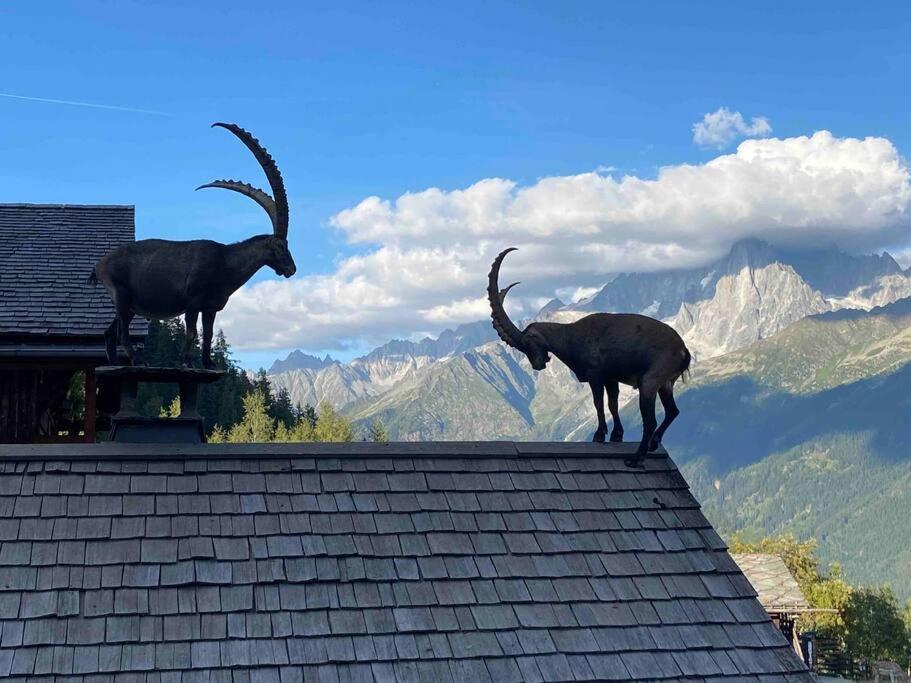 Praz Sur Arly - Proche Des Pistes Et De Megeve公寓 外观 照片