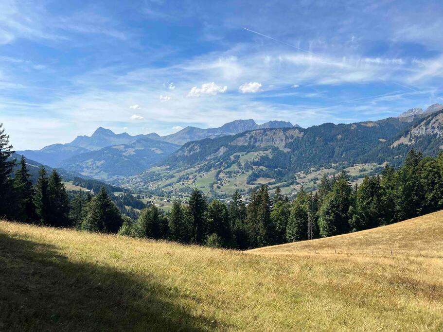 Praz Sur Arly - Proche Des Pistes Et De Megeve公寓 外观 照片