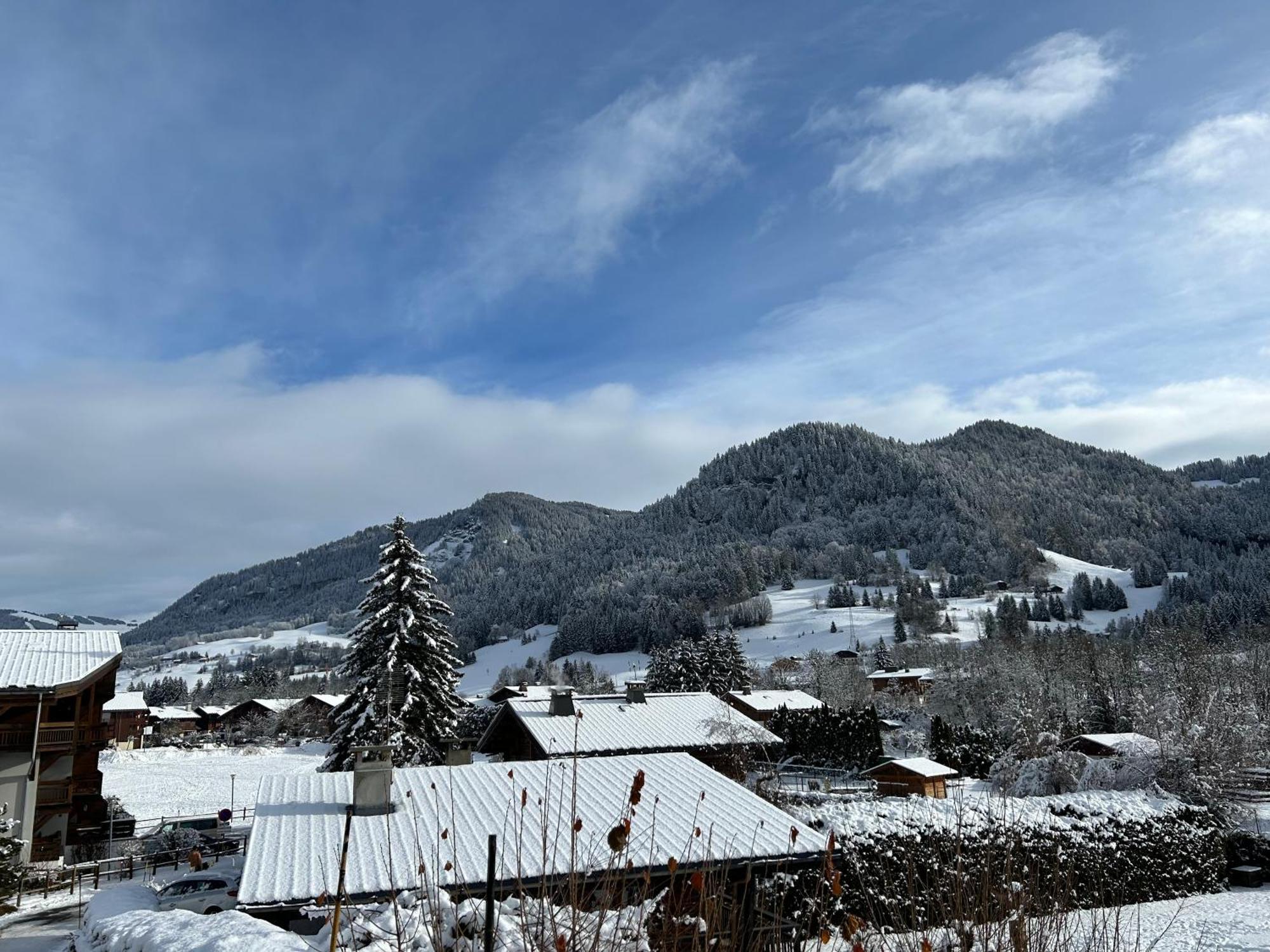 Praz Sur Arly - Proche Des Pistes Et De Megeve公寓 外观 照片